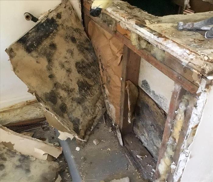 Mold growth on the cabinets of a Delray Beach home