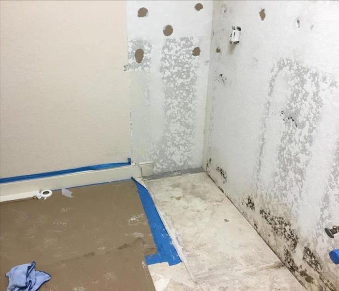 Mold growth on the wall from a water leak