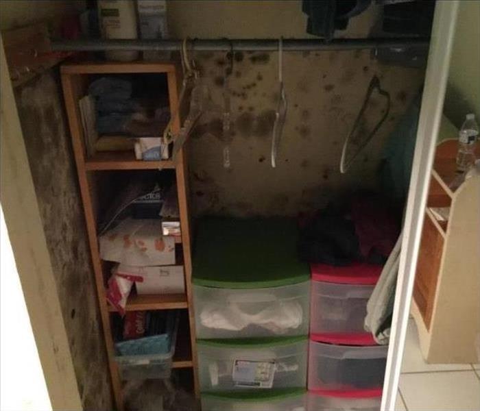 Closet with black mold growth, hangers, plastic boxes with items inside