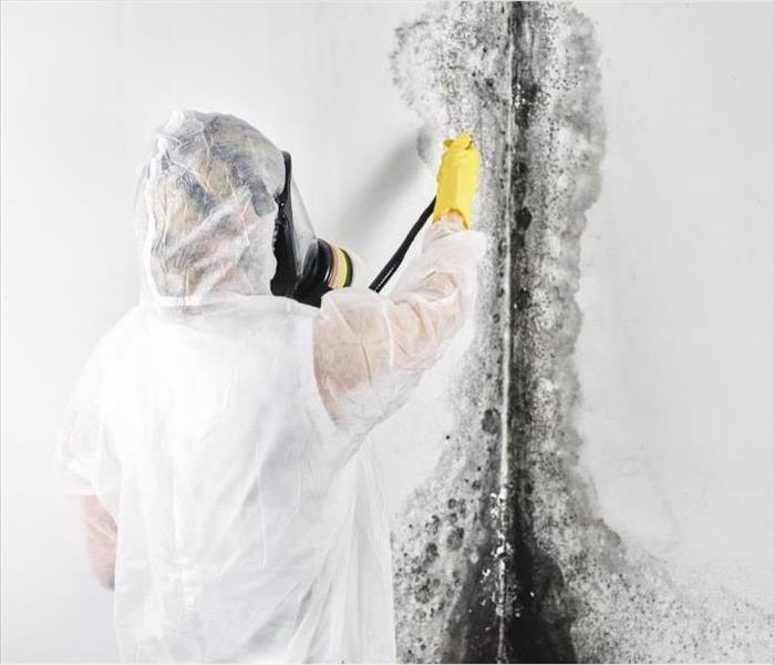 Technician in PPE removing mold