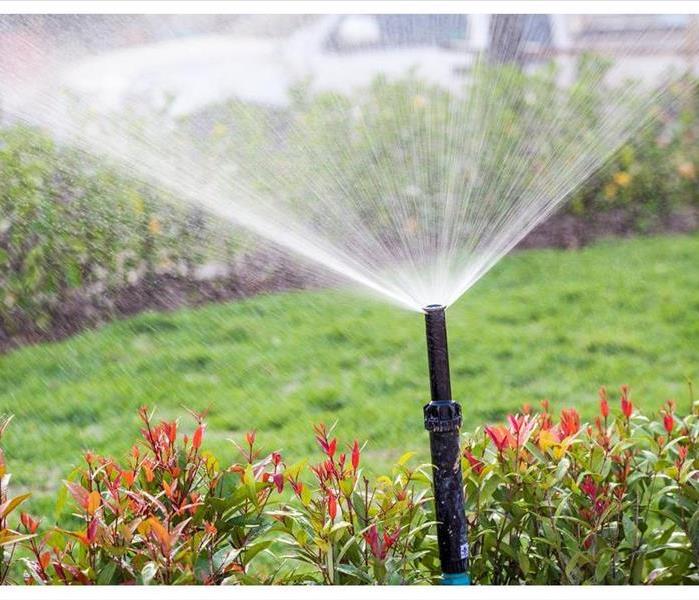 Sprinkler head watering the bush and grass in the garden in Delray Beach, FL.