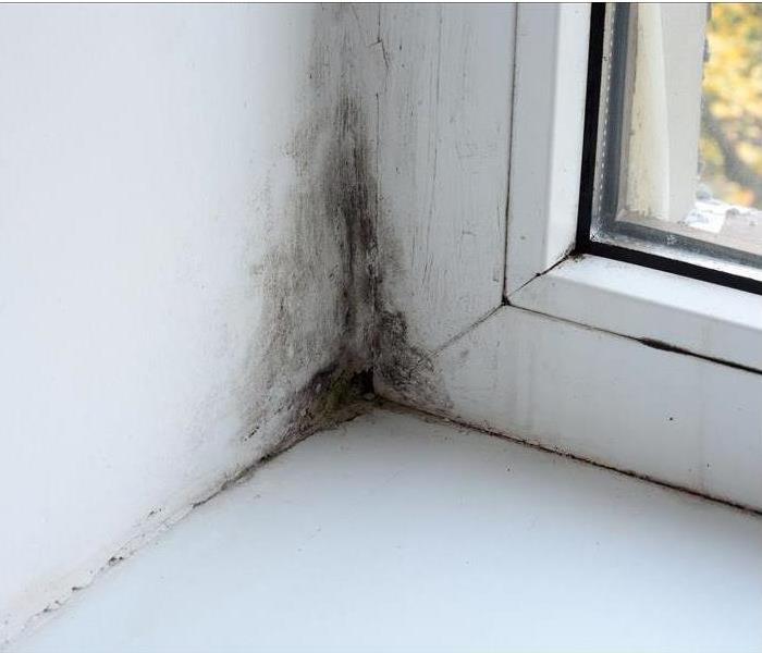Mold growth in corners