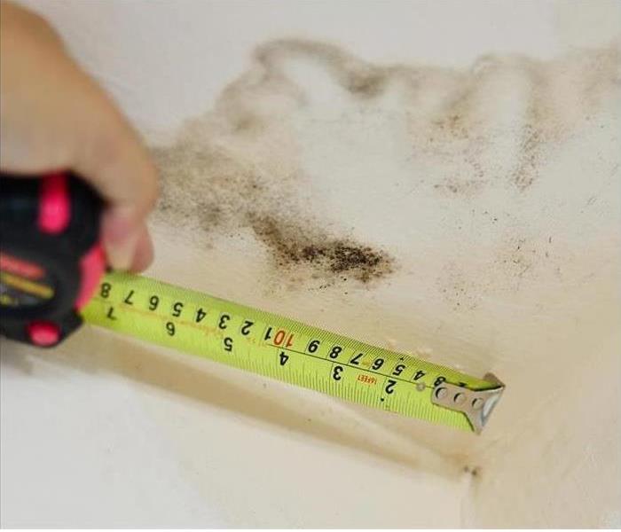 someone measuring the impact of mold on a house with a meter